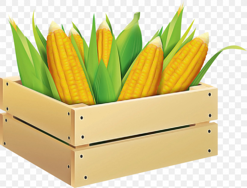 Yellow Vegetarian Food Vegetable Plant Office Supplies, PNG, 1024x781px, Yellow, Corn, Food, Office Supplies, Plant Download Free