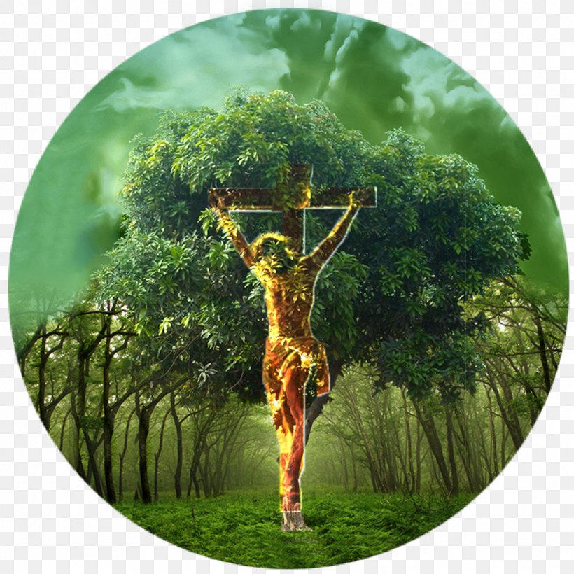 Bible Tree Of Life Garden Of Eden Genesis, PNG, 1024x1024px, Bible, Adam, Christian Cross, Cross, Family Tree Download Free