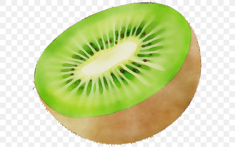 Kiwi, PNG, 600x516px, Watercolor, Closeup, Fruit, Kiwi, Paint Download Free