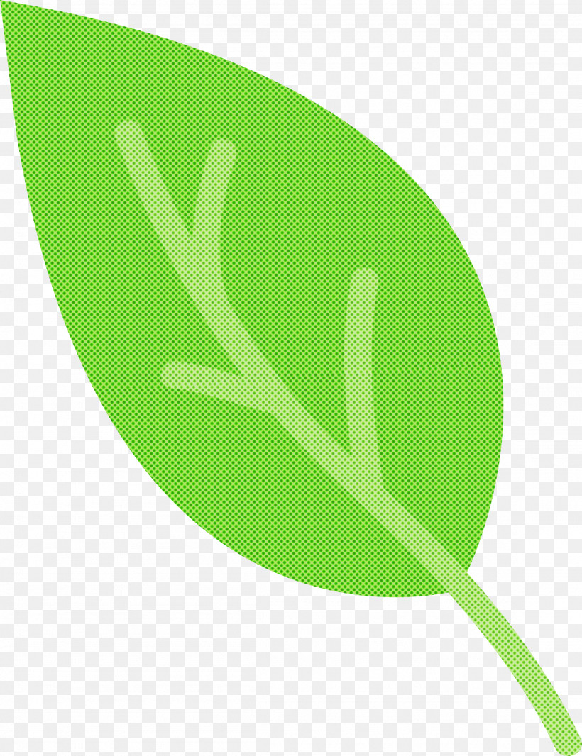 Leaf Green Meter Font Line, PNG, 2307x3000px, Cartoon Leaf, Abstract Leaf, Biology, Cute Leaf, Green Download Free