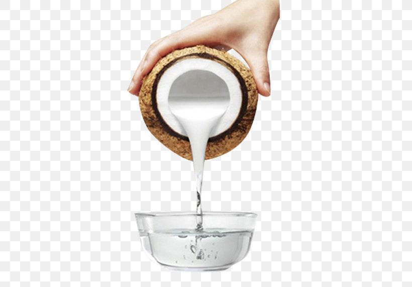 Coconut Oil Soured Milk Food, PNG, 750x571px, Rendang, Banana Chip, Coconut, Coconut Oil, Cooking Download Free