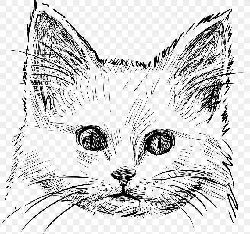 Kitten Cat Drawing, PNG, 4000x3751px, Watercolor, Cartoon, Flower, Frame, Heart Download Free