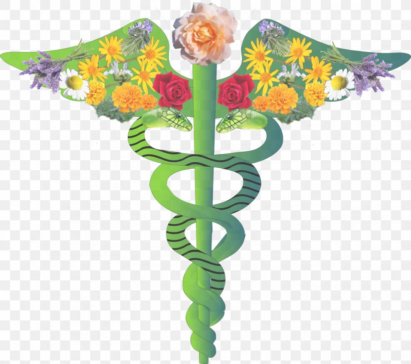 Physician Doctor Of Medicine Staff Of Hermes Health Care, PNG, 1776x1575px, Physician, American Medical Association, Caduceus As A Symbol Of Medicine, Clinic, Doctor Of Medicine Download Free