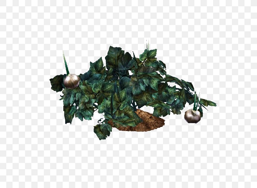 The Sims 3: World Adventures The Sims 4 Plant The Sims Resource Vine, PNG, 800x600px, Sims 3 World Adventures, Fruit, Gardening, Garlic, Grapevines Download Free