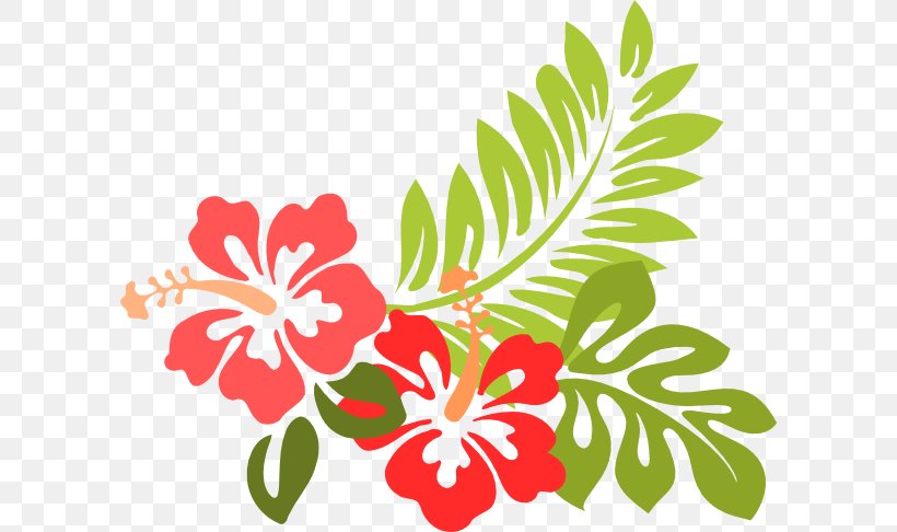 Hibiscus Laevis Clip Art, PNG, 600x486px, Hibiscus Laevis, Branch, Cut Flowers, Document, Flora Download Free