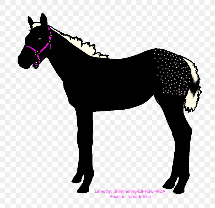 Daliboz Equestrian Arabian Horse Horse Racing Horse Harnesses, PNG, 900x875px, Watercolor, Cartoon, Flower, Frame, Heart Download Free