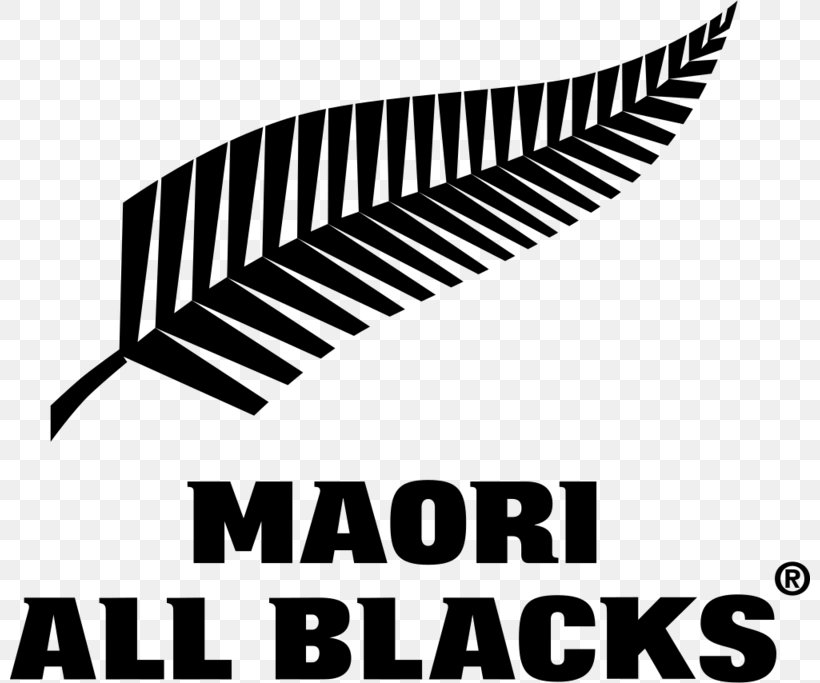 New Zealand National Rugby Union Team Māori All Blacks Wellington Regional Stadium 2017 British And Irish Lions Tour To New Zealand Australia National Rugby Union Team, PNG, 800x683px, Australia National Rugby Union Team, Black, Black And White, Brand, British Irish Lions Download Free