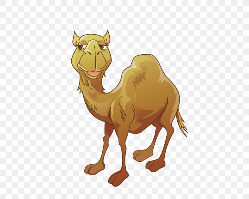 Bactrian Camel Clip Art, PNG, 1000x800px, Bactrian Camel, Arabian Camel, Camel, Camel Like Mammal, Cartoon Download Free