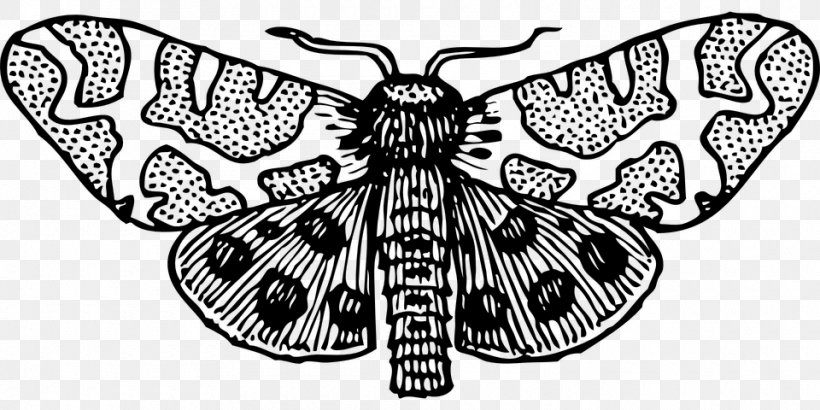 Butterfly Insect Moth Clip Art, PNG, 960x480px, Butterfly, Arthropod, Black And White, Brush Footed Butterfly, Butterflies And Moths Download Free