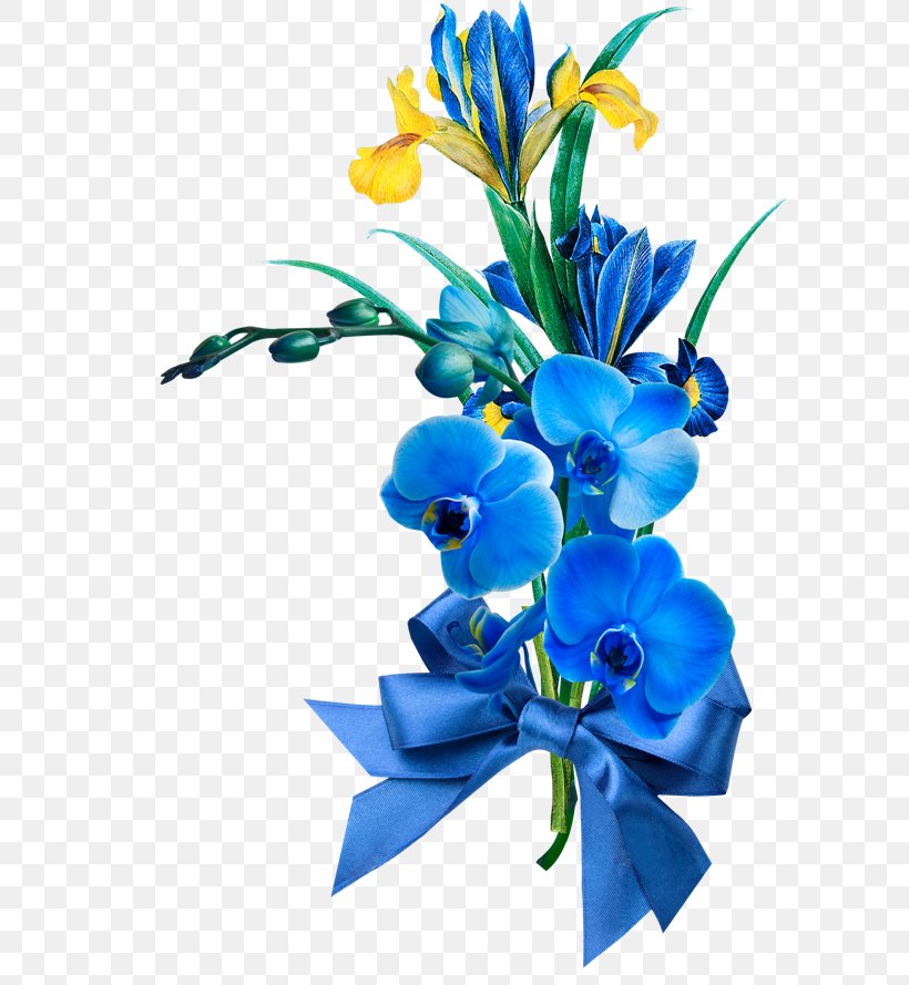 Clip Art, PNG, 600x889px, Aperture, Blue, Color, Cut Flowers, Digital Image Download Free