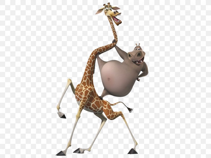 Gloria Melman Madagascar Animation, PNG, 1280x960px, Gloria, Animal Figure, Animation, Antelope, Cartoon Download Free
