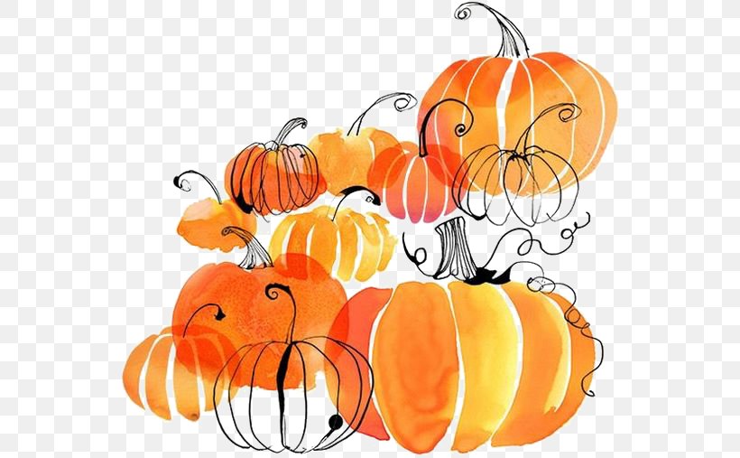 Autumn Harvest Festival Thanksgiving Flyer, PNG, 564x507px, Autumn, Apple, Artwork, Calabaza, Citrus Download Free