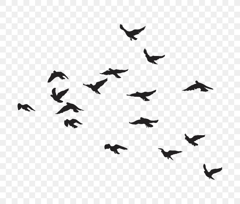 Bird Goose Flock, PNG, 700x700px, Bird, Animal, Animal Migration, Beak, Bird Flight Download Free