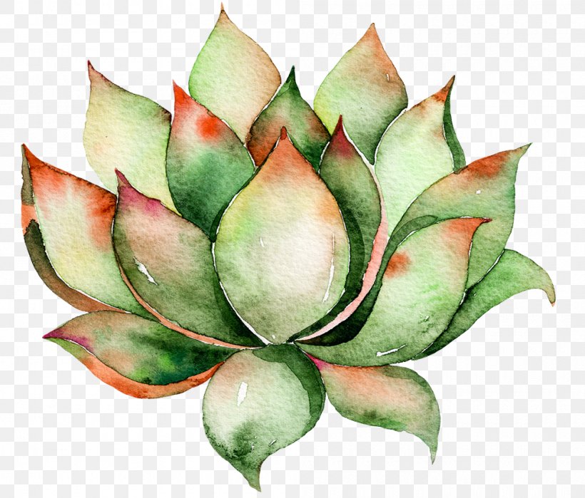 Cactaceae Wall Decal Succulent Plant Watercolor Painting, PNG, 1000x853px, Cactaceae, Agave, Art, Art Museum, Botanical Illustration Download Free
