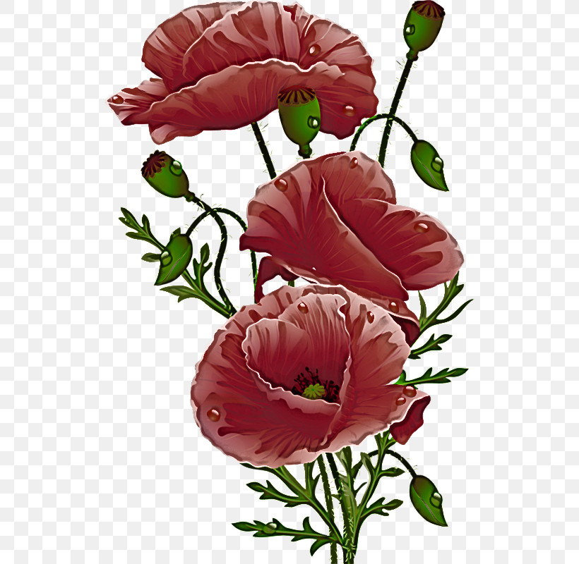 Floral Design, PNG, 524x800px, Xiaoman, Annual Plant, Cut Flowers, Floral Design, Page Download Free