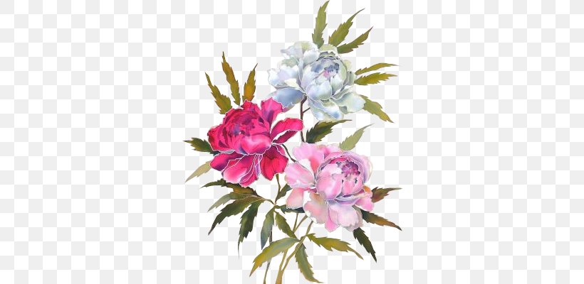 Moutan Peony Flower Silk Clip Art, PNG, 315x400px, Peony, Art, Blog, Blossom, Color Download Free
