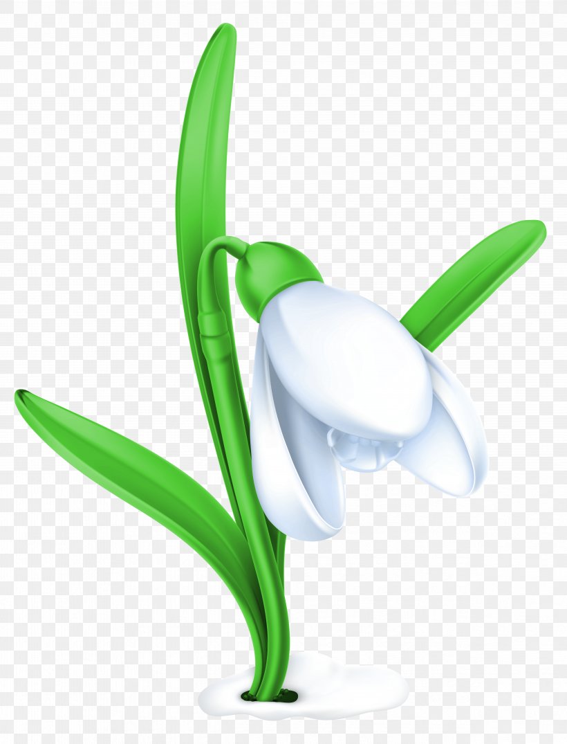 Snowdrop Flower Clip Art, PNG, 4873x6392px, Snowdrop, Clip Art, Common Daisy, Drawing, Flora Download Free