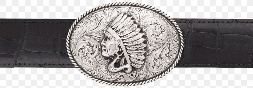 Belt Buckles Silver Coin, PNG, 1000x349px, Belt Buckles, Belt, Belt Buckle, Buckle, Coin Download Free