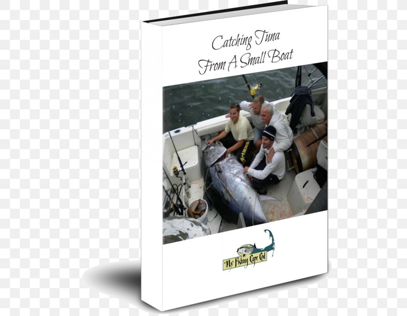 Bruce Brothers Charters Cape Cod Fishing Bait Atlantic Bluefin Tuna, PNG, 555x636px, Cape Cod, Advertising, Atlantic Bluefin Tuna, Bay, Cape Download Free