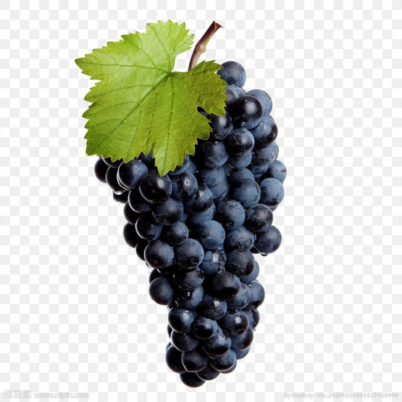 Common Grape Vine Wine Isabella Stock Photography, PNG, 1024x1024px, Red Wine, Berry, Blueberry, Common Grape Vine, Cranberry Download Free