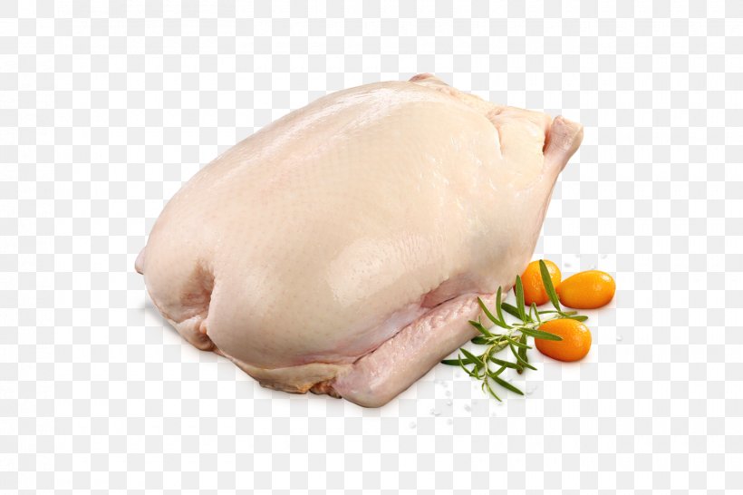Duck Meat Turkey Meat Mallard Chicken As Food, PNG, 1620x1080px, Duck, Animal Fat, Animal Source Foods, Chicken As Food, Chicken Breast Download Free