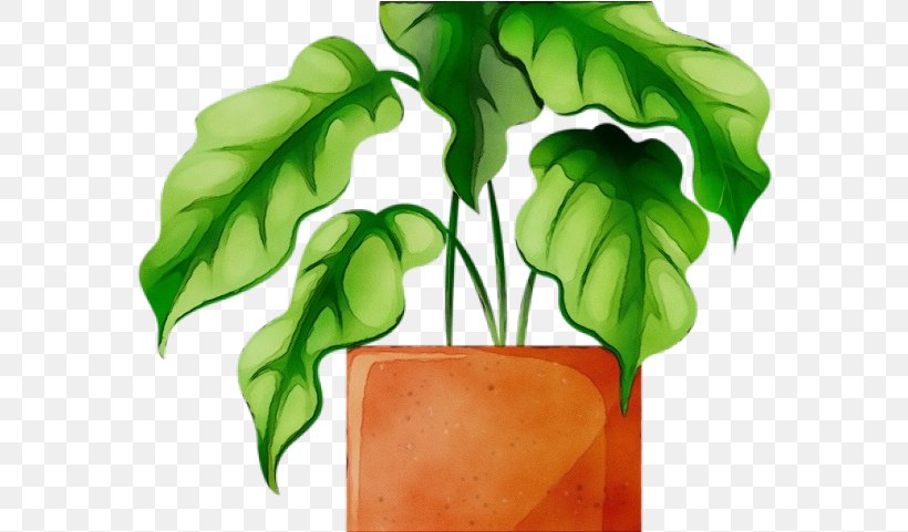Flowerpot Leaf Green Plant Houseplant, PNG, 574x481px, Watercolor, Basil, Flower, Flowerpot, Green Download Free