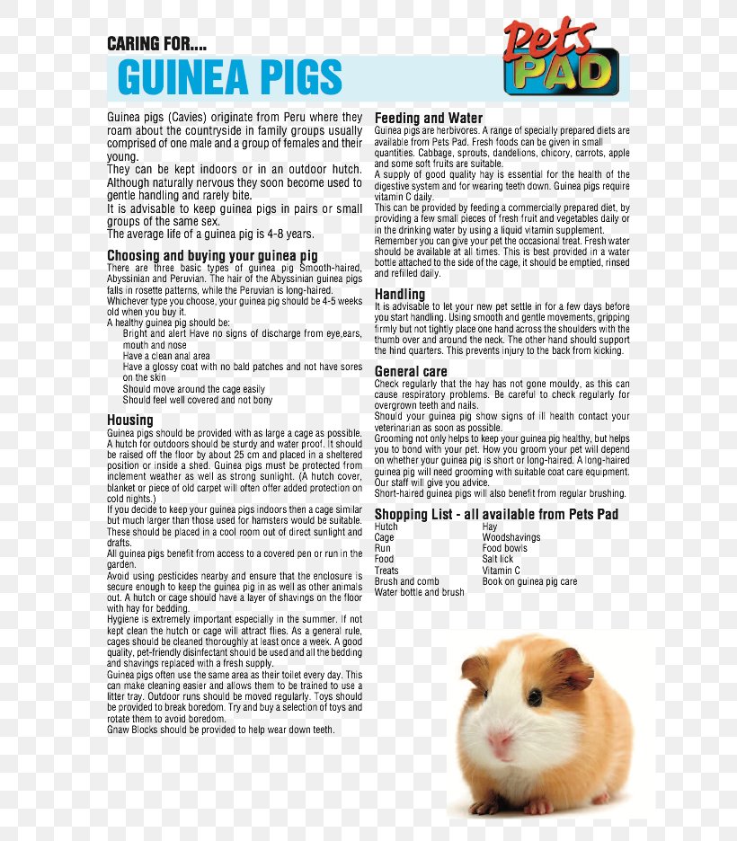 Guinea Pig Care Rodent Pet, PNG, 662x936px, Guinea Pig, Animal, Breed, Cage, Fauna Download Free