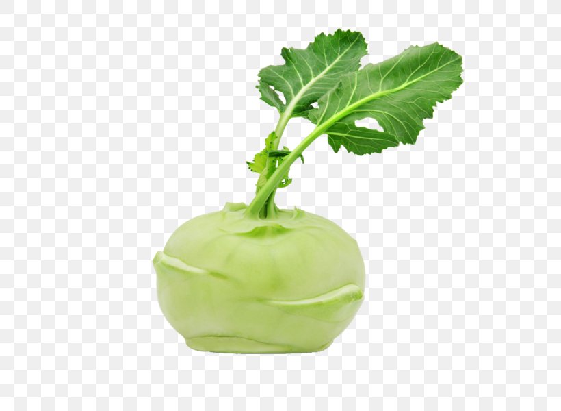 Kohlrabi Vegetable Food Delivery Broccoli, PNG, 600x600px, Kohlrabi, Annual Plant, Broccoli, Cabbage, Cabbages Download Free