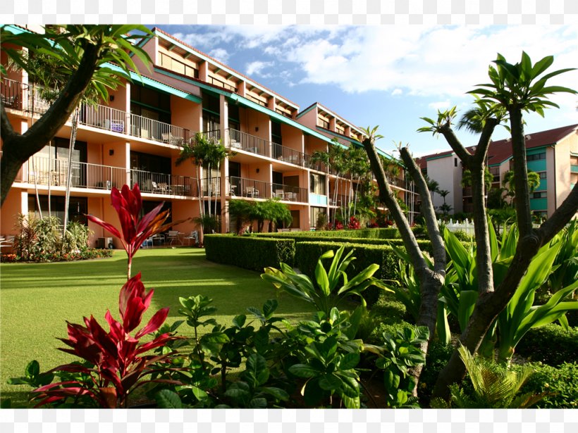 Maui Schooner Resort Hotel Scotch Mist Sailing Charters Beach, PNG, 1024x768px, Resort, Apartment, Arecales, Beach, Building Download Free