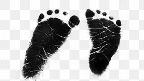 Baby Transparent - Black M Shoe PNG