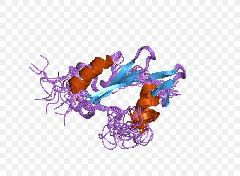 Bruton's Tyrosine Kinase Tryptase Mast Cell, PNG, 800x600px, Tyrosine Kinase, Enzyme, Kinase, Mast Cell, Organism Download Free