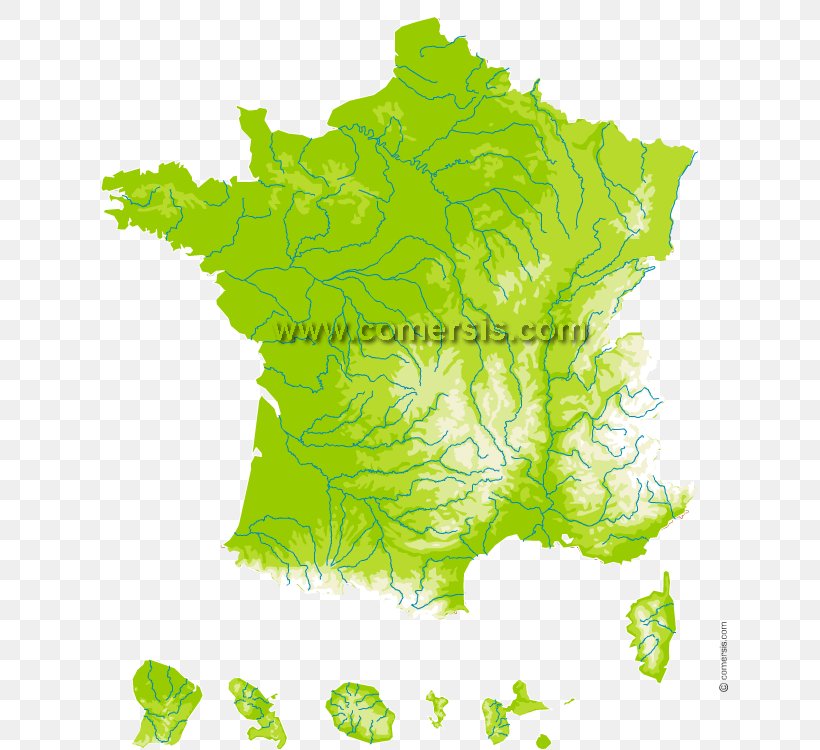 France Stock Photography Vector Graphics Image Royalty-free, PNG, 650x750px, France, Border, Grass, Green, Leaf Download Free
