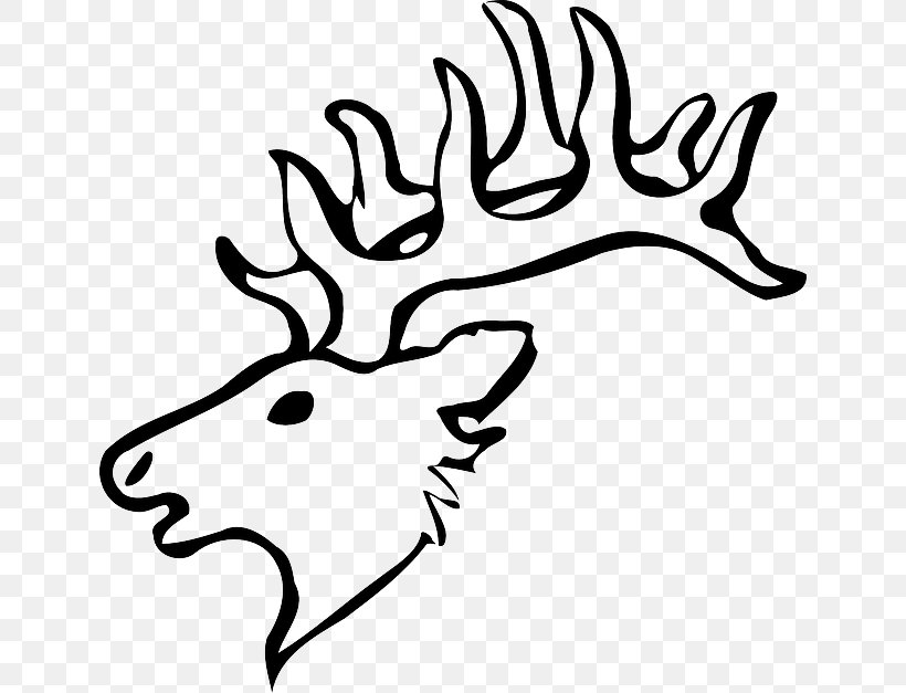White-tailed Deer Drawing Reindeer Clip Art, PNG, 640x627px, Deer, Antler, Art, Artwork, Black And White Download Free