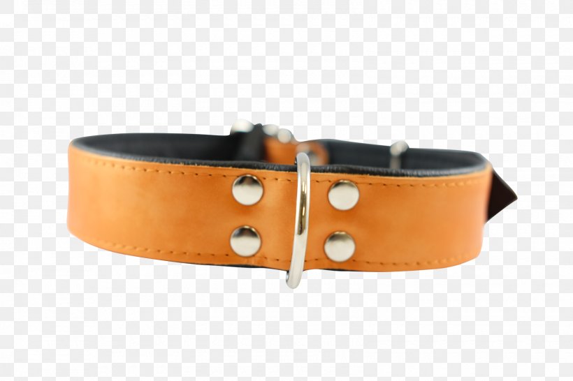 Belt Dog Collar Buckle, PNG, 1600x1067px, Belt, Belt Buckle, Belt Buckles, Buckle, Collar Download Free