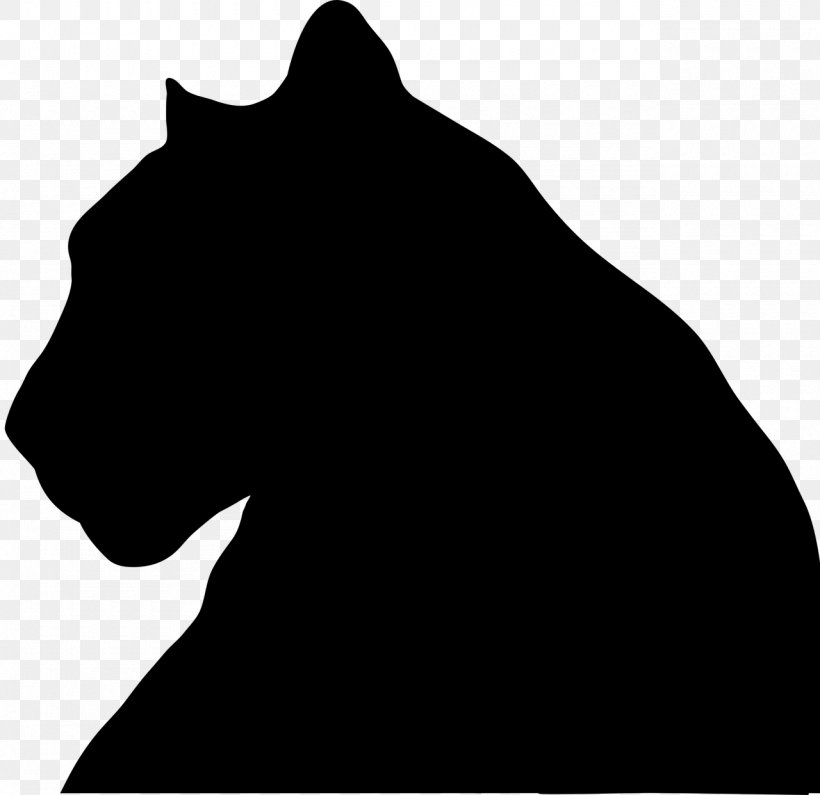 Black Panther Shuri Stock Photography Image, PNG, 1280x1242px, Black Panther, Aesthetics, Big Cats, Black, Blackandwhite Download Free