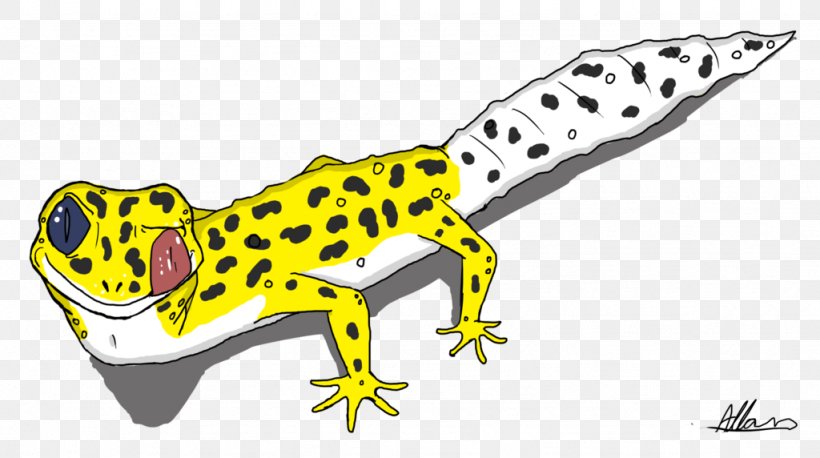 Common Leopard Gecko Cartoon Drawing, PNG, 1024x572px, Gecko, Amphibian, Animation, Cartoon, Common Leopard Gecko Download Free