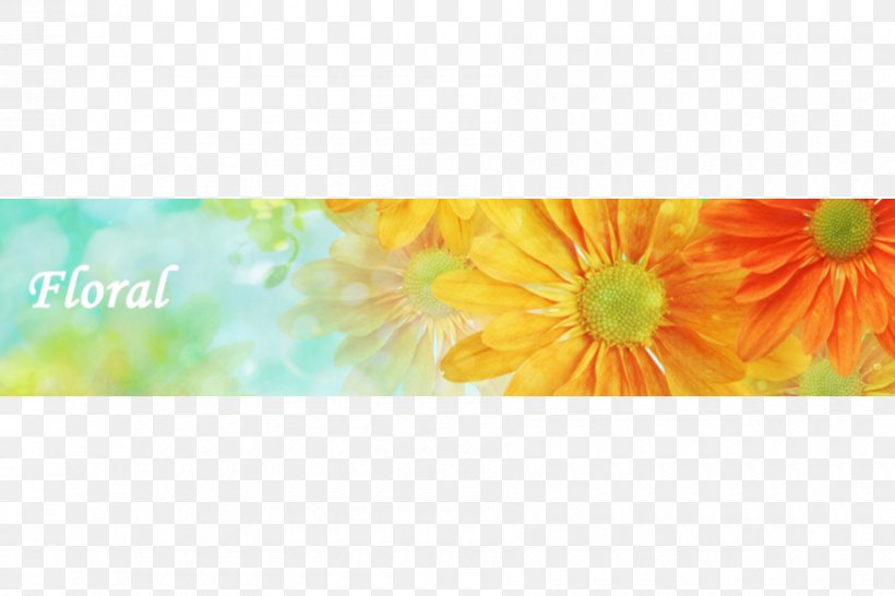 Desktop Wallpaper Flower Petal Wallpaper, PNG, 900x600px, 2018 Mercedesbenz Sclass Coupe, Flower, Computer, Flowering Plant, Gerbera Download Free