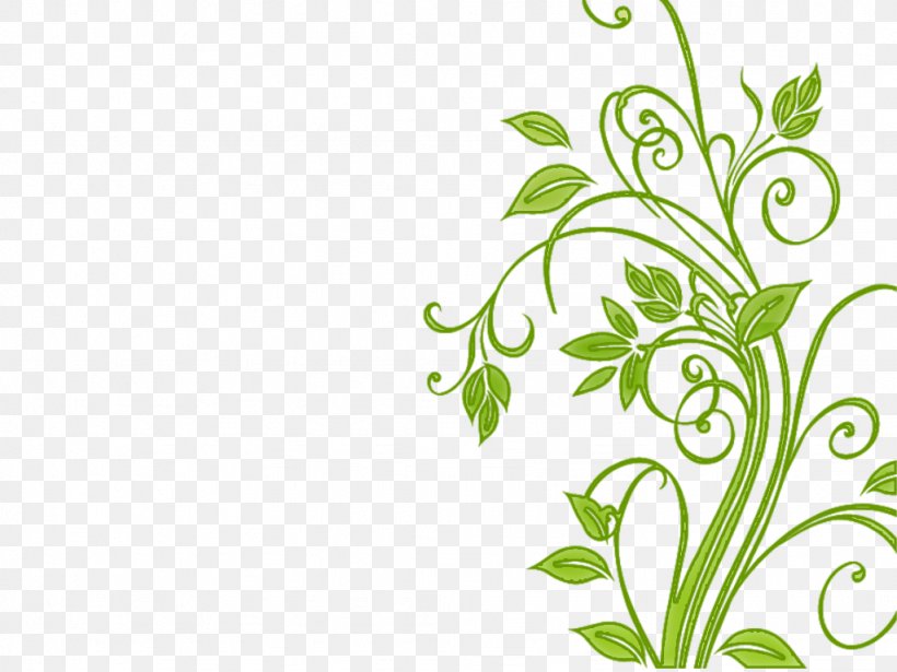 Flower Cdr Clip Art, PNG, 1024x768px, Flower, Branch, Cdr, Drawing, Flora Download Free