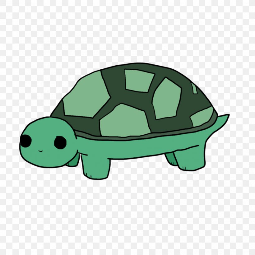 Tortoise Sea Turtle, PNG, 894x894px, Tortoise, Green, Organism, Reptile, Sea Turtle Download Free