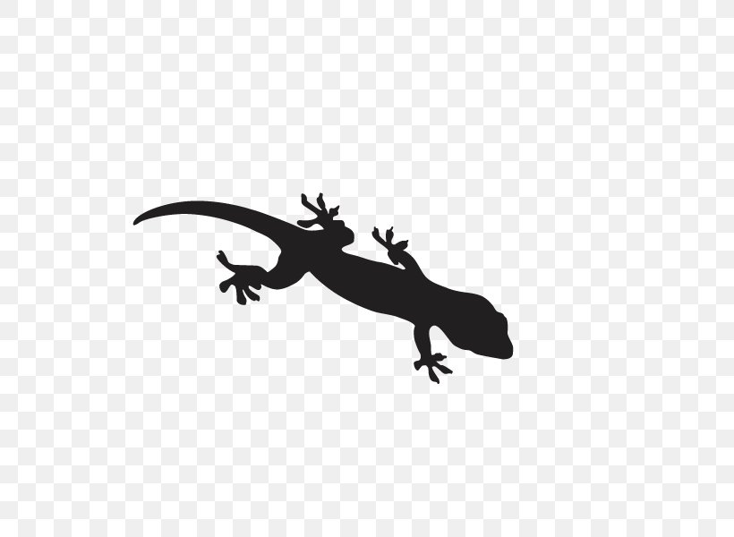 Cartoon Drawing Euclidean Vector, PNG, 600x600px, Cartoon, Black And White, Drawing, Gecko, Monochrome Download Free