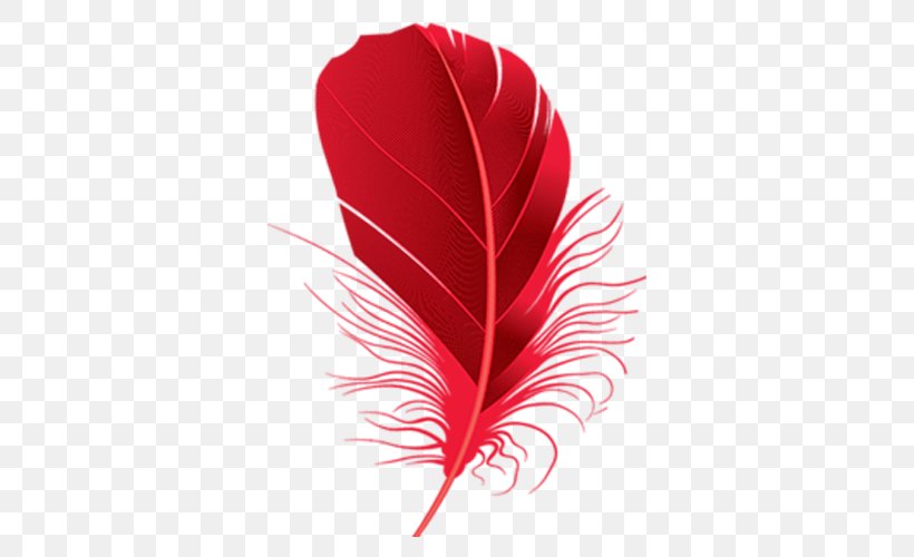 Feather Red Clip Art, PNG, 500x500px, Feather, Bird, Common Ostrich, Digital Image, Feather Boa Download Free