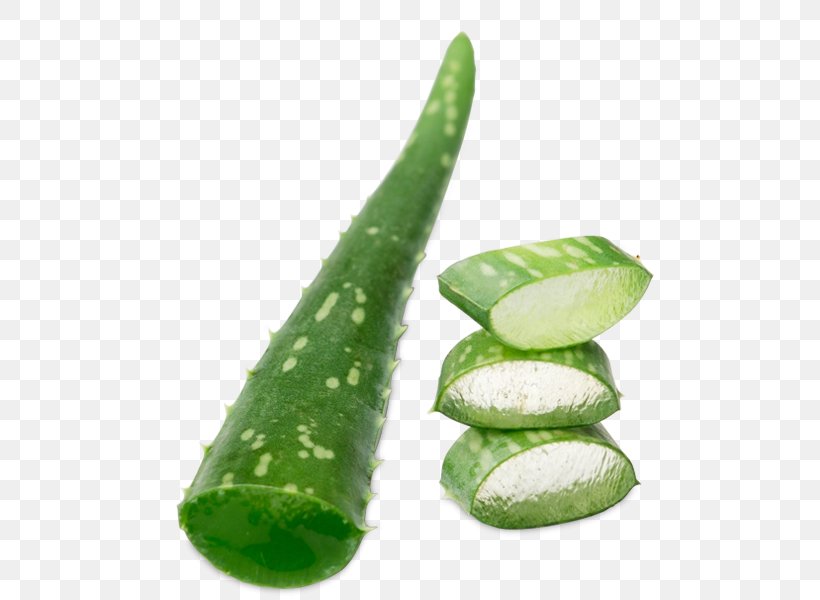 PixWords™ Aloe Vera 4 Letters Pixwords Solution, PNG, 600x600px, 4 Letters, Aloe Vera, Android, Aptoide, Cucumber Download Free