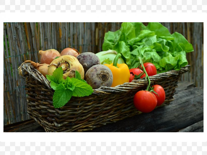 Smoothie Vegetable Harvest Eating Fruit, PNG, 1200x900px, Smoothie, Basket, Cucumber, Diet Food, Dietary Fiber Download Free