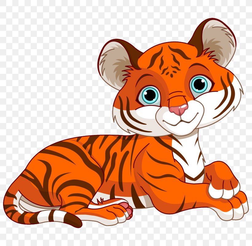 Tiger Whiskers Sticker Cat Clip Art, PNG, 800x800px, Tiger, Animal, Big Cat, Big Cats, Carnivoran Download Free