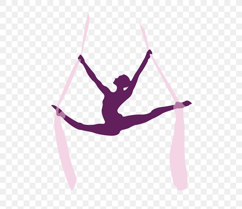 Acrobatics Aerial Silk Circus Pole Dance Gymnastics, PNG, 496x709px, Acrobatics, Aerial Silk, Arm, Choreography, Circus Download Free