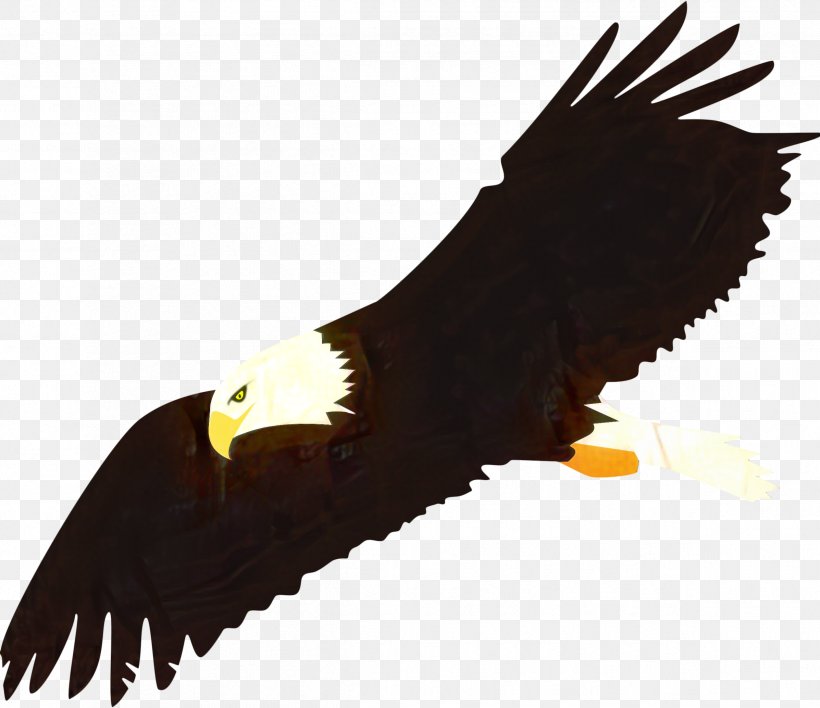 Bird Silhouette, PNG, 2394x2068px, Bald Eagle, Accipitridae, Beak, Bird, Bird Of Prey Download Free