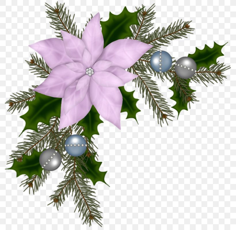 Christmas Ornament Christmas Decoration Flower Poinsettia, PNG, 785x800px, Christmas, Branch, Christmas Decoration, Christmas Ornament, Conifer Download Free