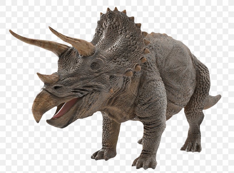 Dinosaur Triceratops/Triceratops Tyrannosaurus Image, PNG, 1082x800px, 3d Computer Graphics, 3d Modeling, Dinosaur, Animal Figure, Drawing Download Free