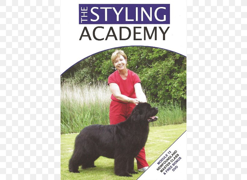 Dog Breed Poodle Obedience Training Sporting Group Newfoundland And Labrador, PNG, 600x600px, Dog Breed, Academy Sportsoutdoors, Breed, Dog, Dog Breed Group Download Free