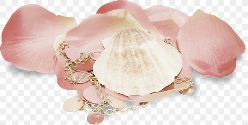 Peach, PNG, 1280x649px, Peach, Petal, Seashell Download Free